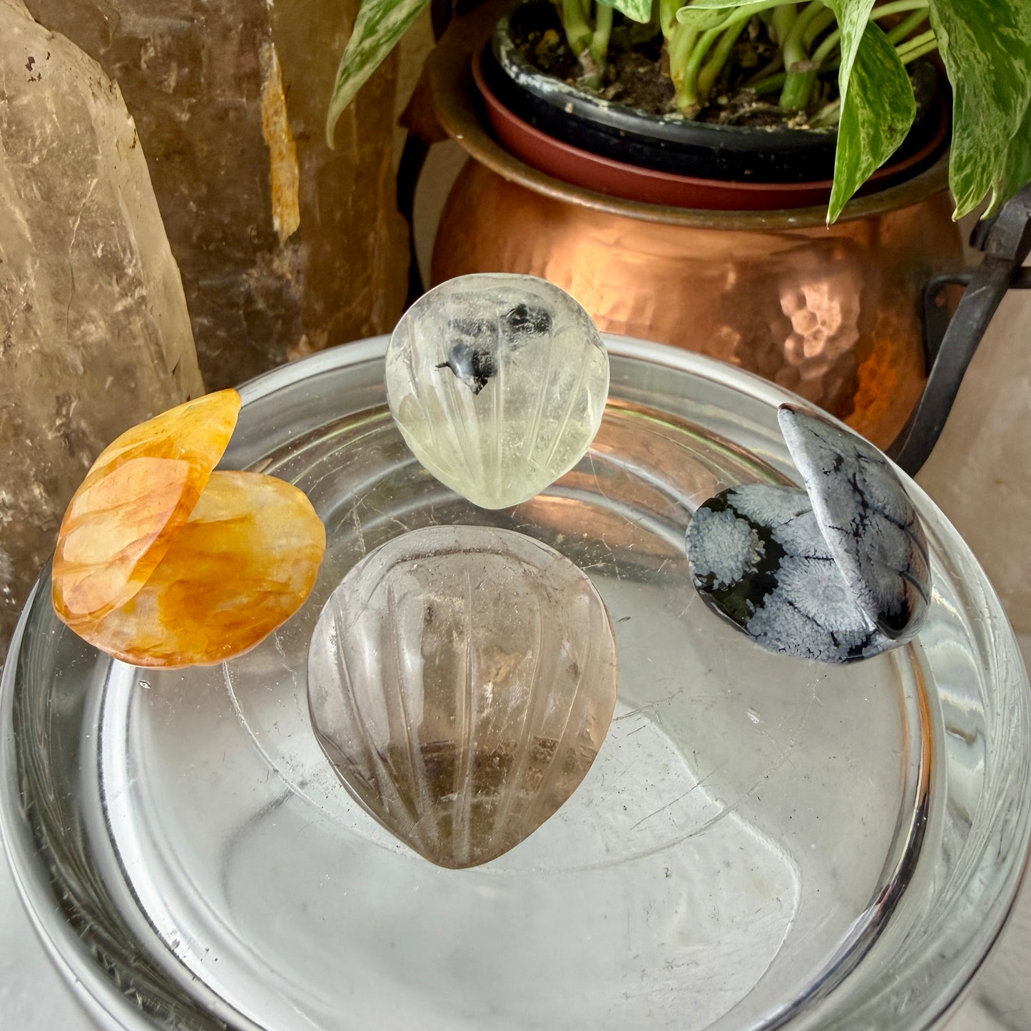 Mini Crystal Clam Shell Carving | Smoky Quartz, Golden Healer, Snowflake Obsidian | 1.2 Inch Intuitive Pick