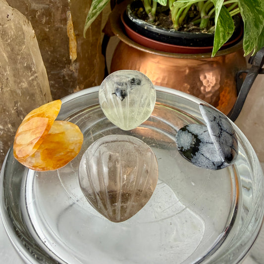 Mini Crystal Clam Shell Carving | Smoky Quartz, Golden Healer, Snowflake Obsidian | 1.2 Inch Intuitive Pick