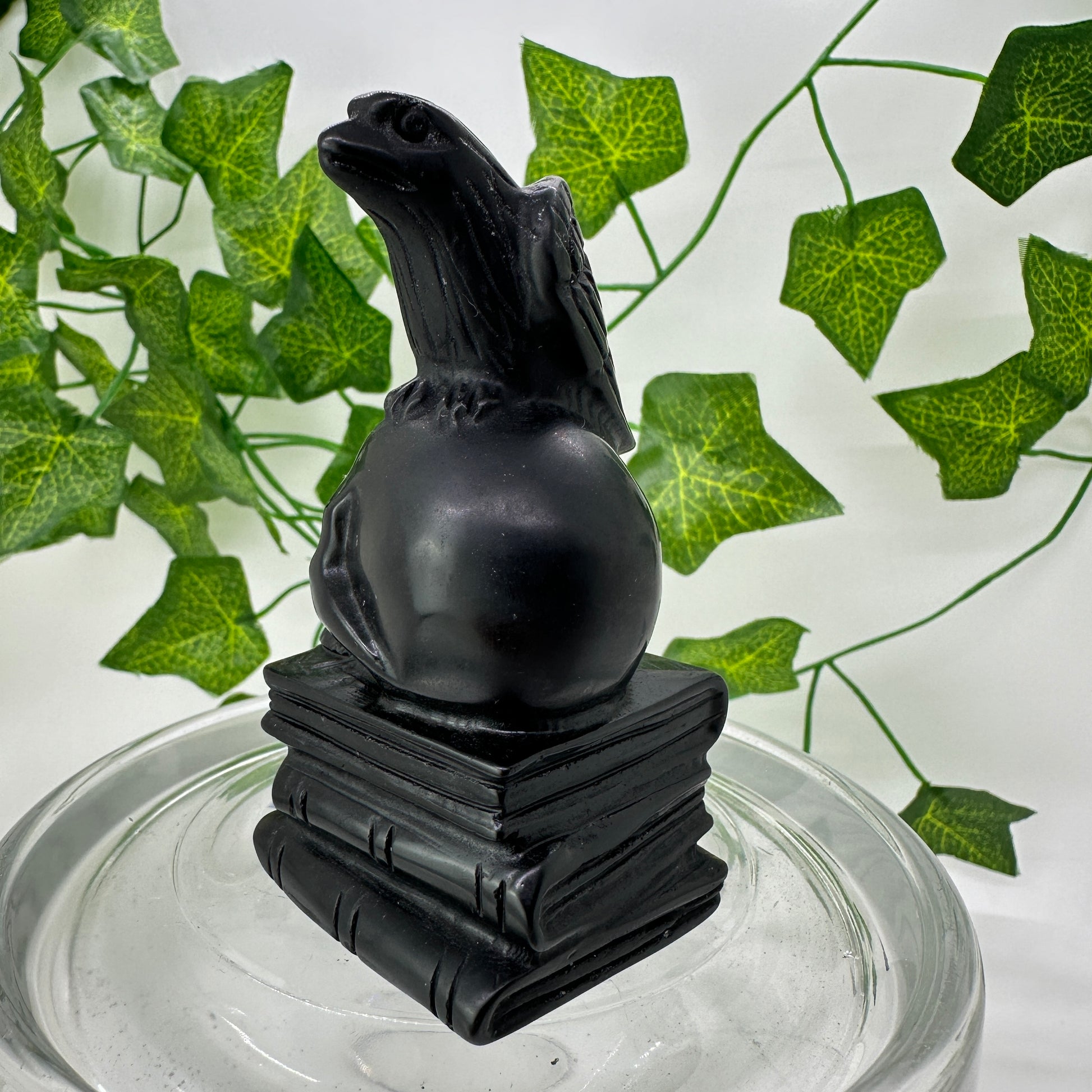 Raven Skull Book Carving - Katie's Mystic Crystals