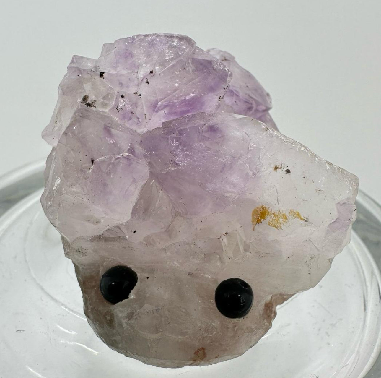 Crystal Critters - Specimen