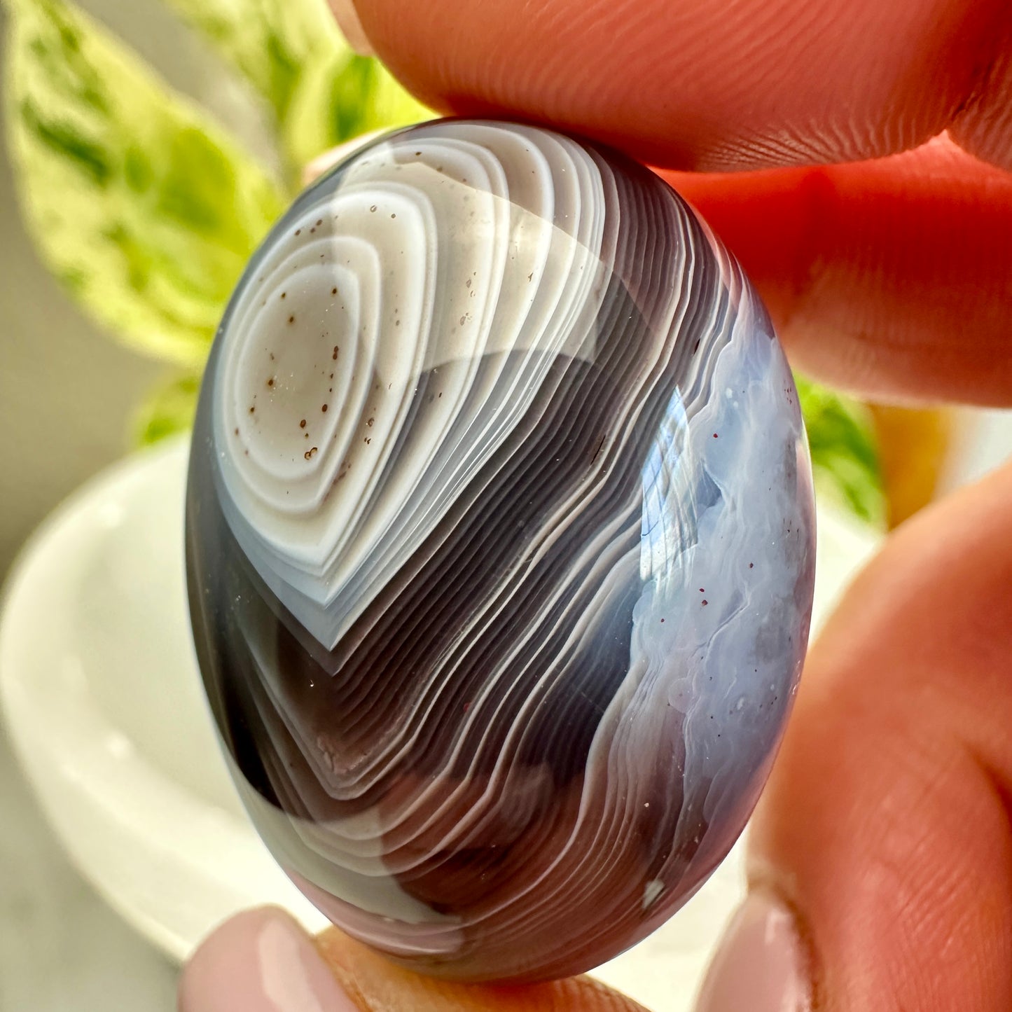 Large Botswana Agate Tumbles