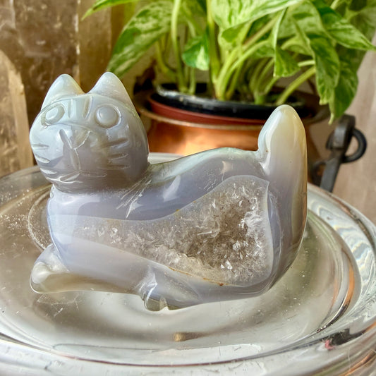 Agate Cat Crystal Carving | Blue Lace Agate Energy & Protection | Unique You-Pick Piece