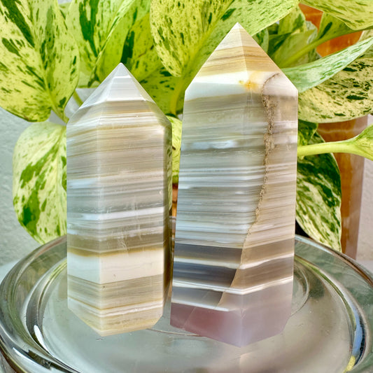 Botswana Agate Points — 2.5 to 2.8 inch
Emotional Support | Stability | Soothing Energy
✨ Intuitively Chosen for You ✨