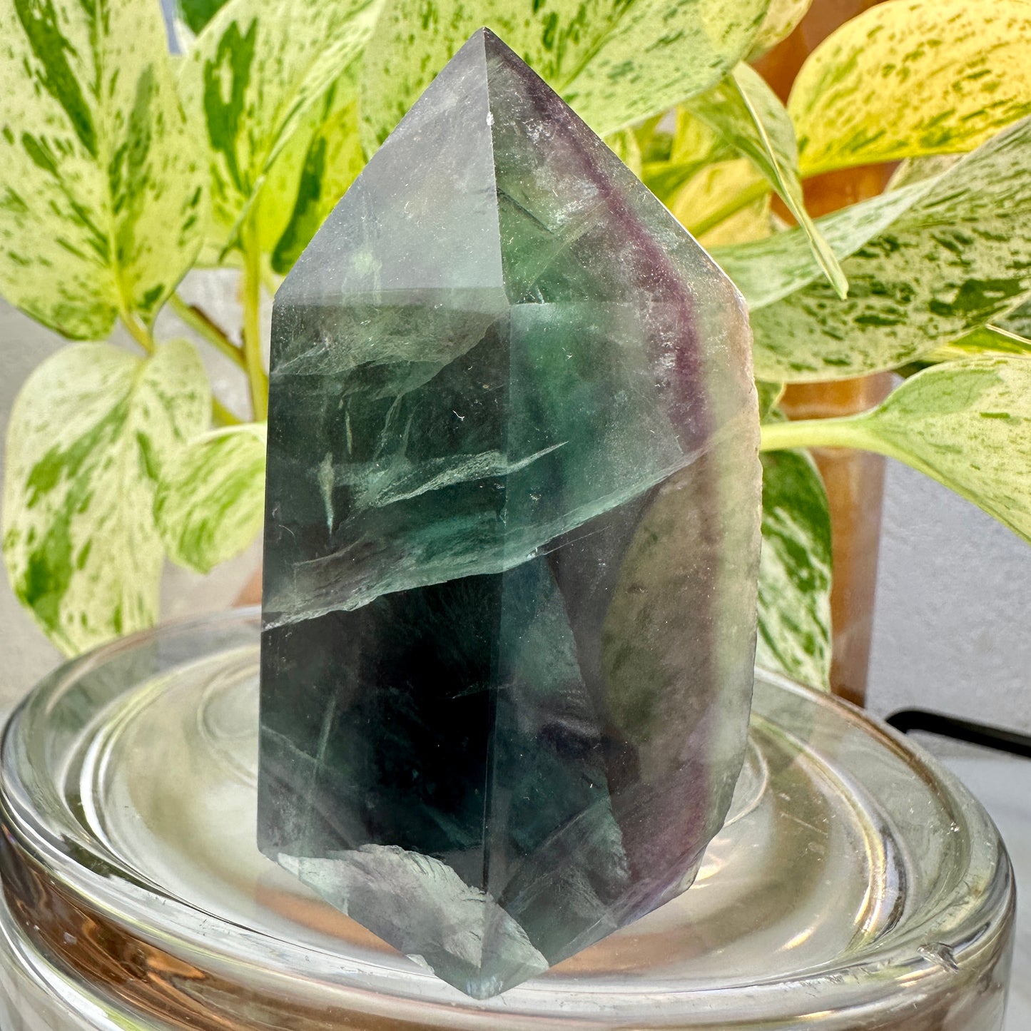 Rainbow Fluorite Raw Edge Tower — 3 inch | 6.8 oz
Focus | Clarity | Aura Cleansing