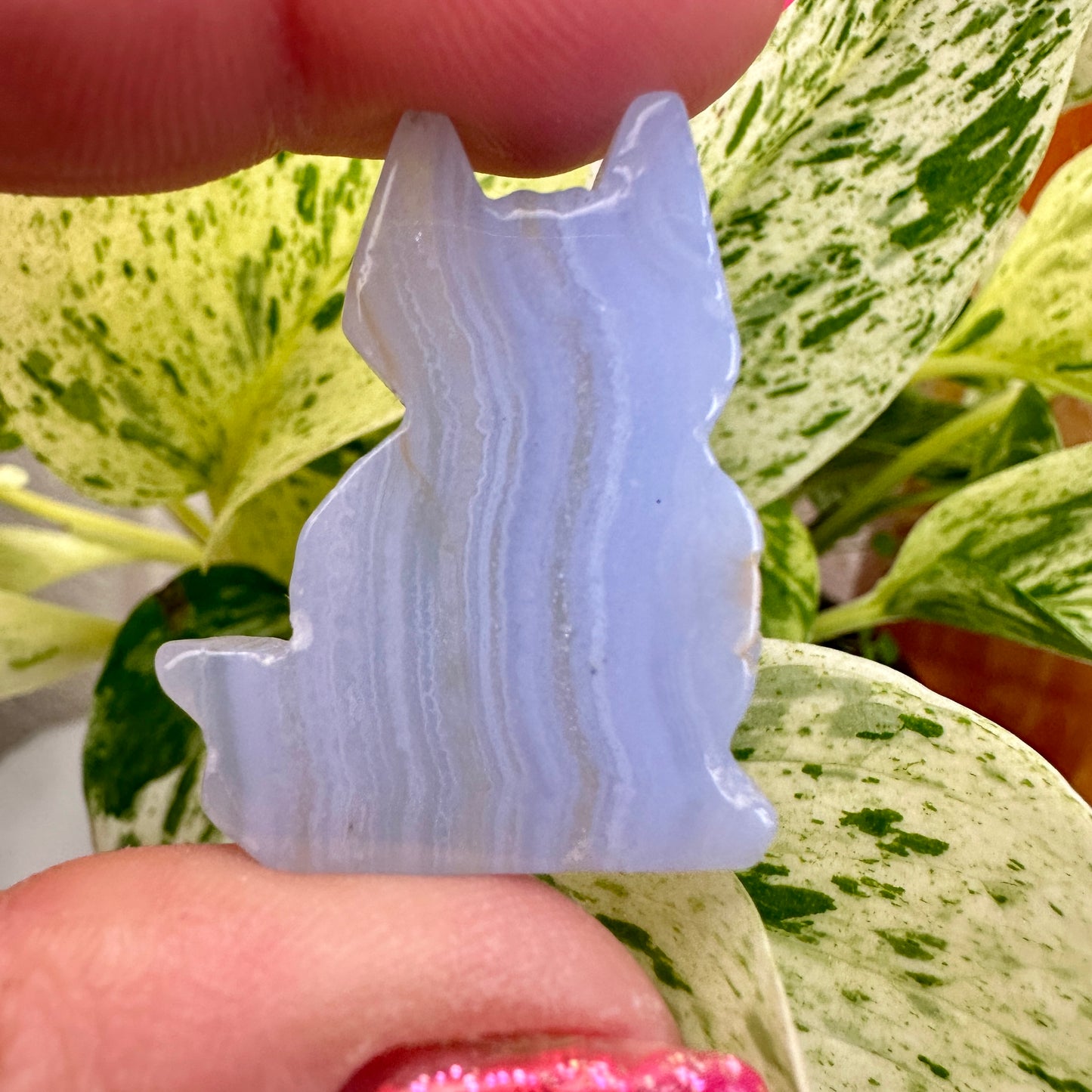 Blue Lace Agate Cat - Katie's Mystic Crystals