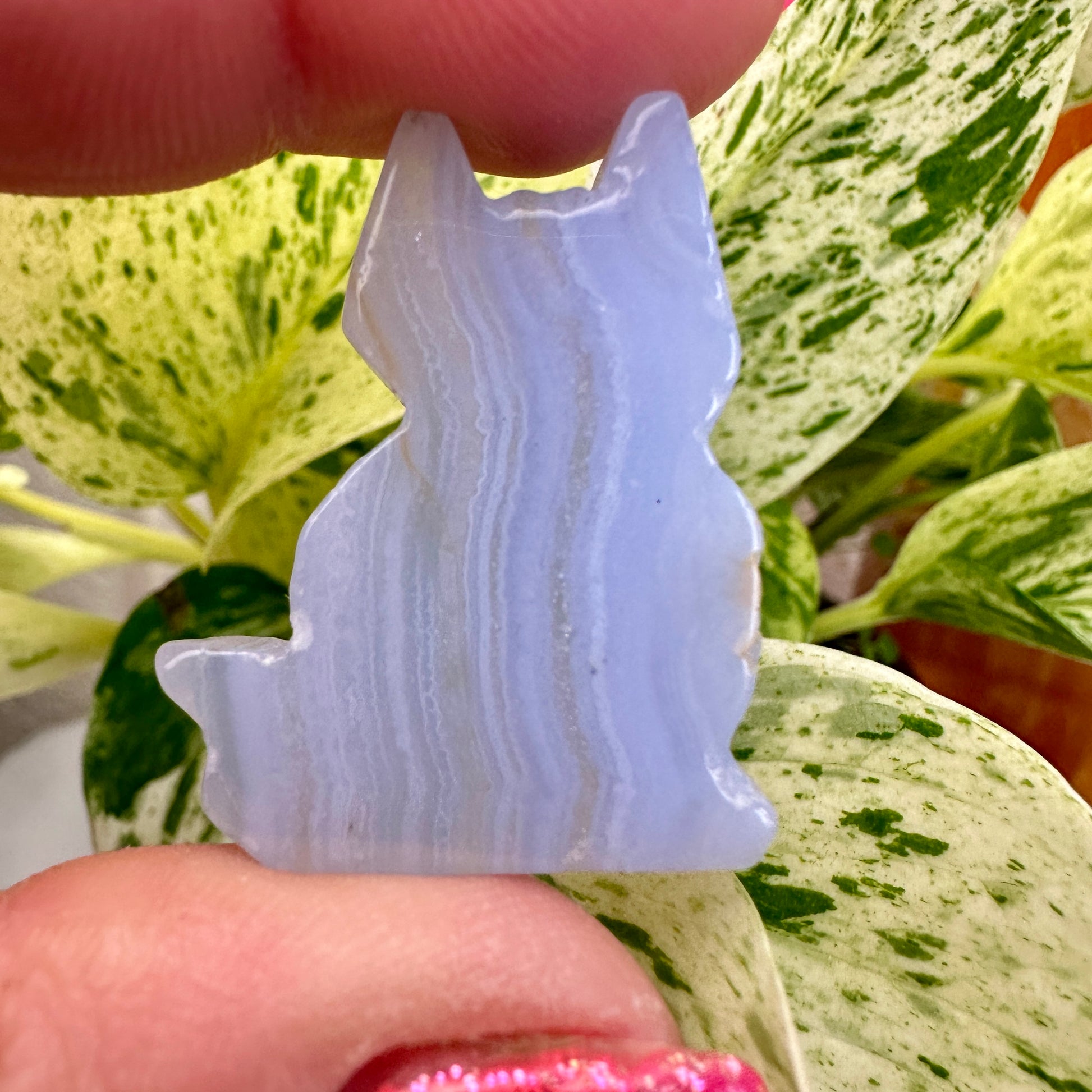Blue Lace Agate Cat - Katie's Mystic Crystals