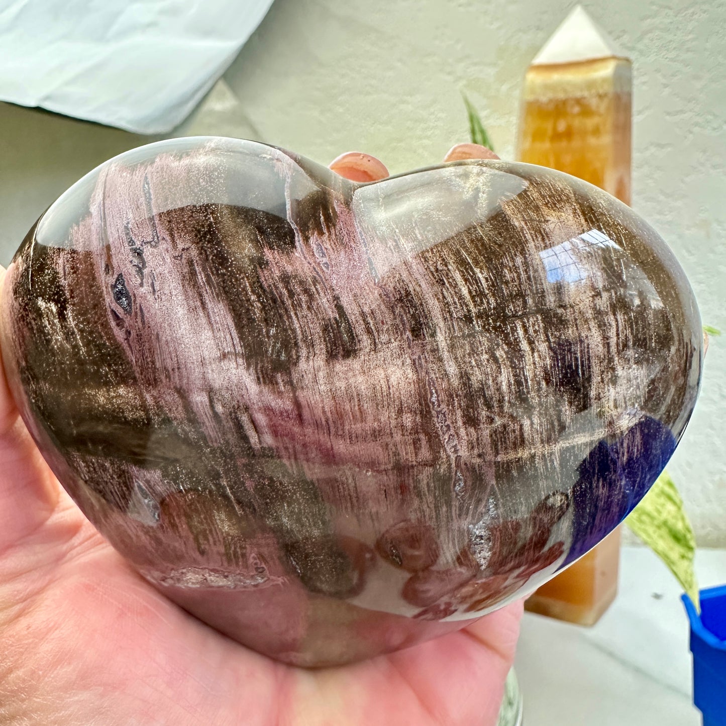 Petrified Wood Heart 1lb 2.7oz