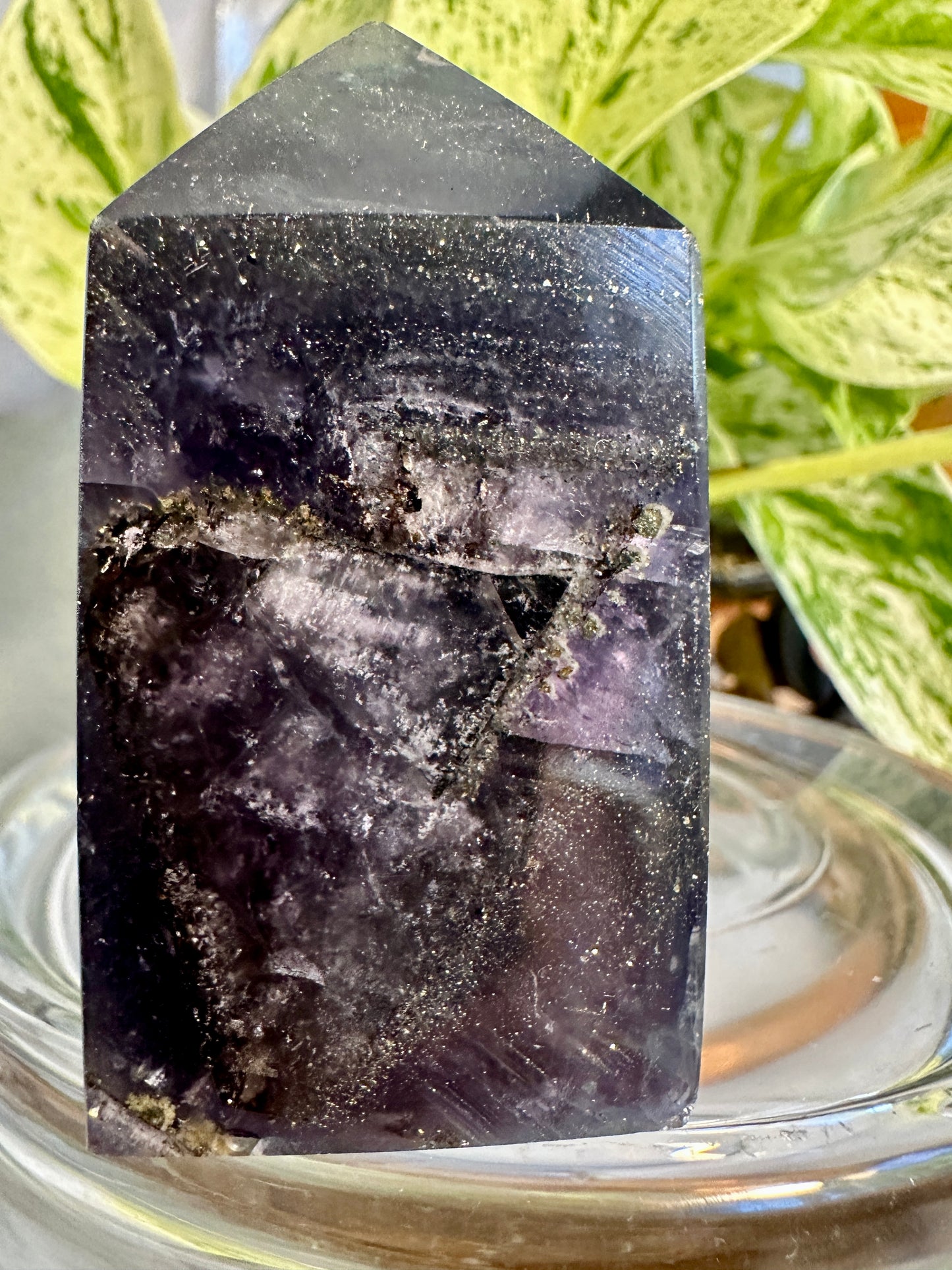 Pyrite in Fluorite Raw Edge Tower — E
2.5 in tall × 1.4 in wide × 0.9 in thick | 4.8 oz
Mental Clarity | Abundance | Grounded Confidence - Katie's Mystic Crystals