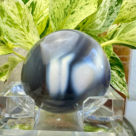 Orca Agate Palm Stone (G)