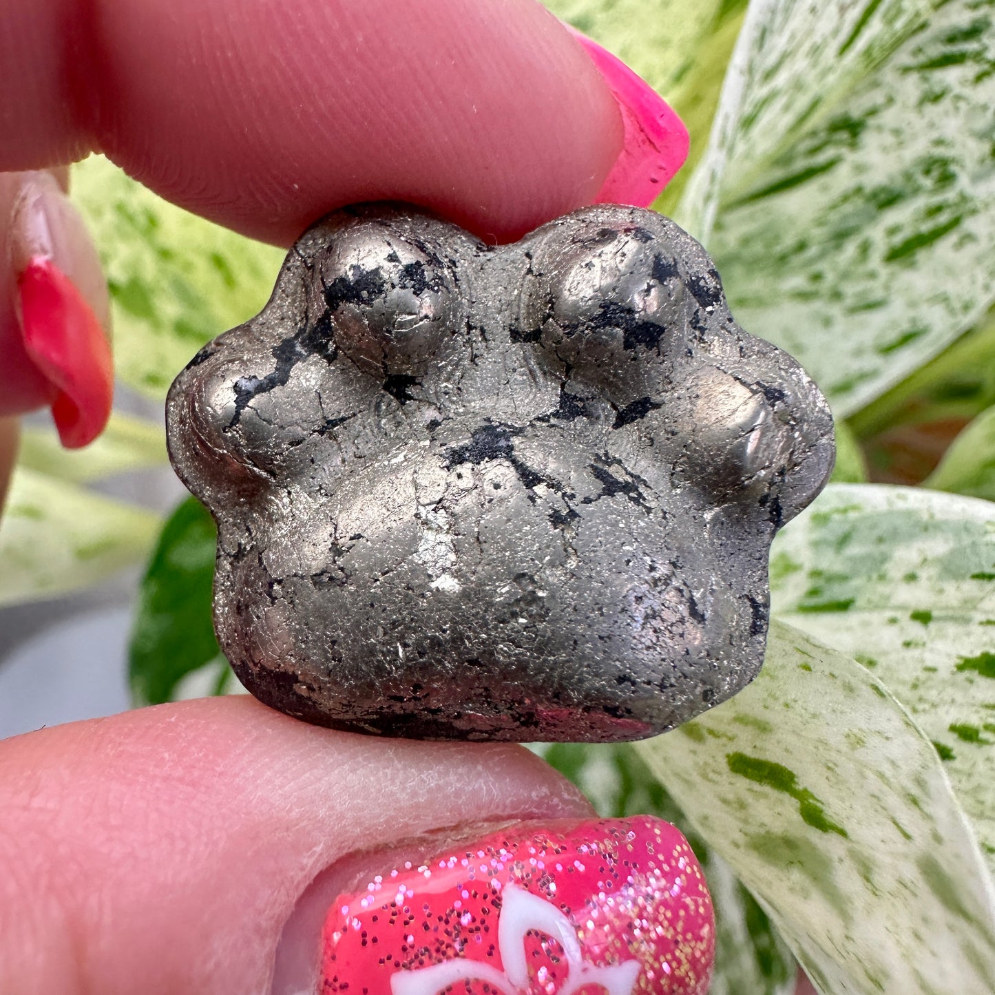 Crystal Pet Paw
