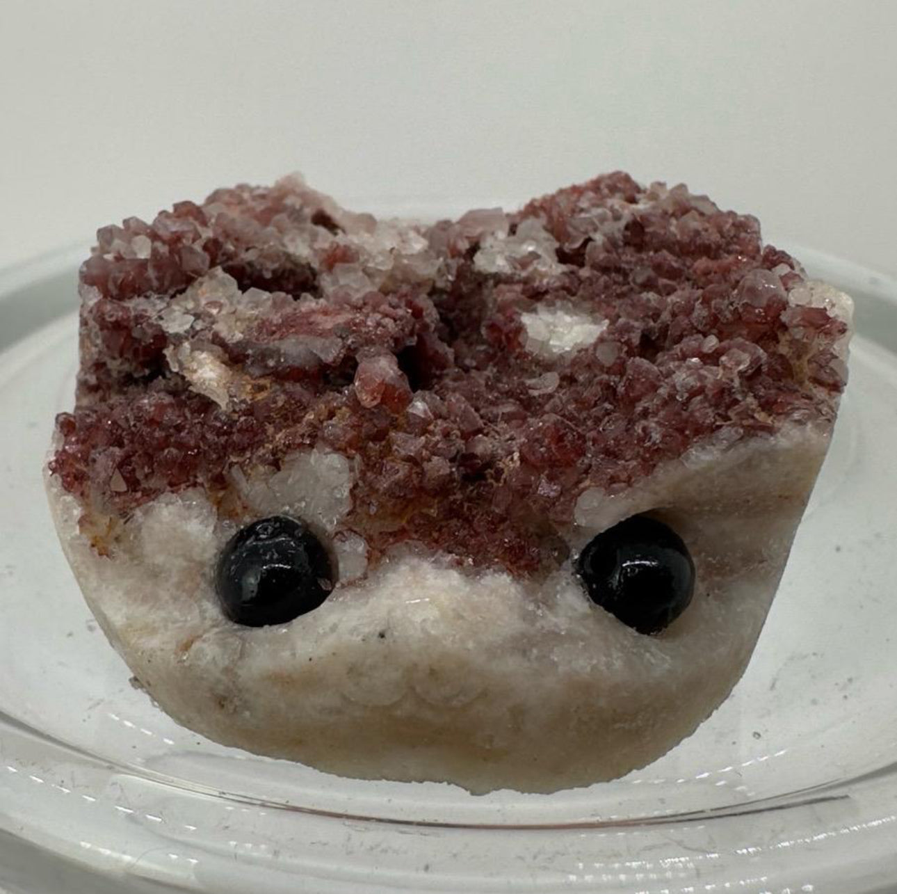 Crystal Critters - Specimen