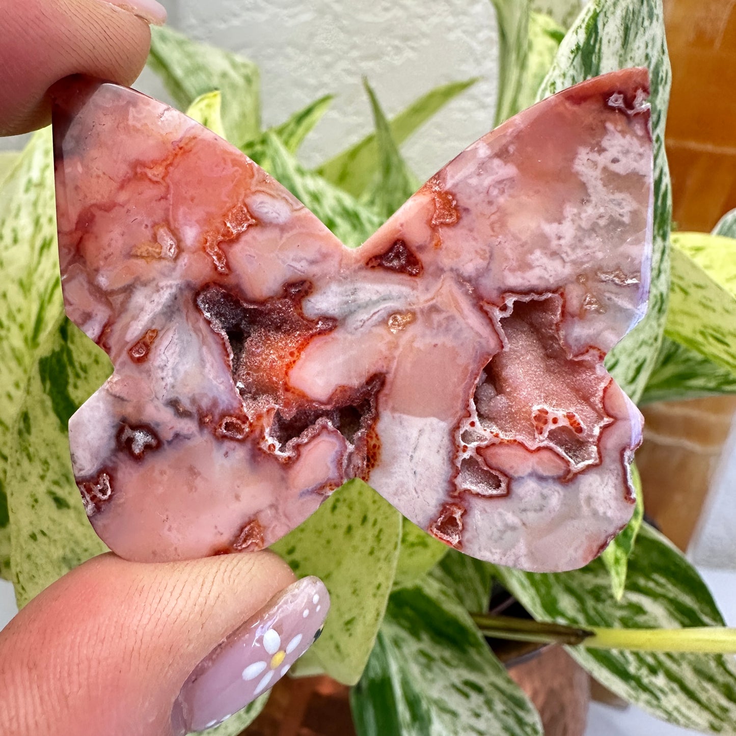 Druzy Carnelian Butterfly - 1.9 inch