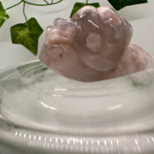 Flower Agate Snail (B) - Katie's Mystic Crystals