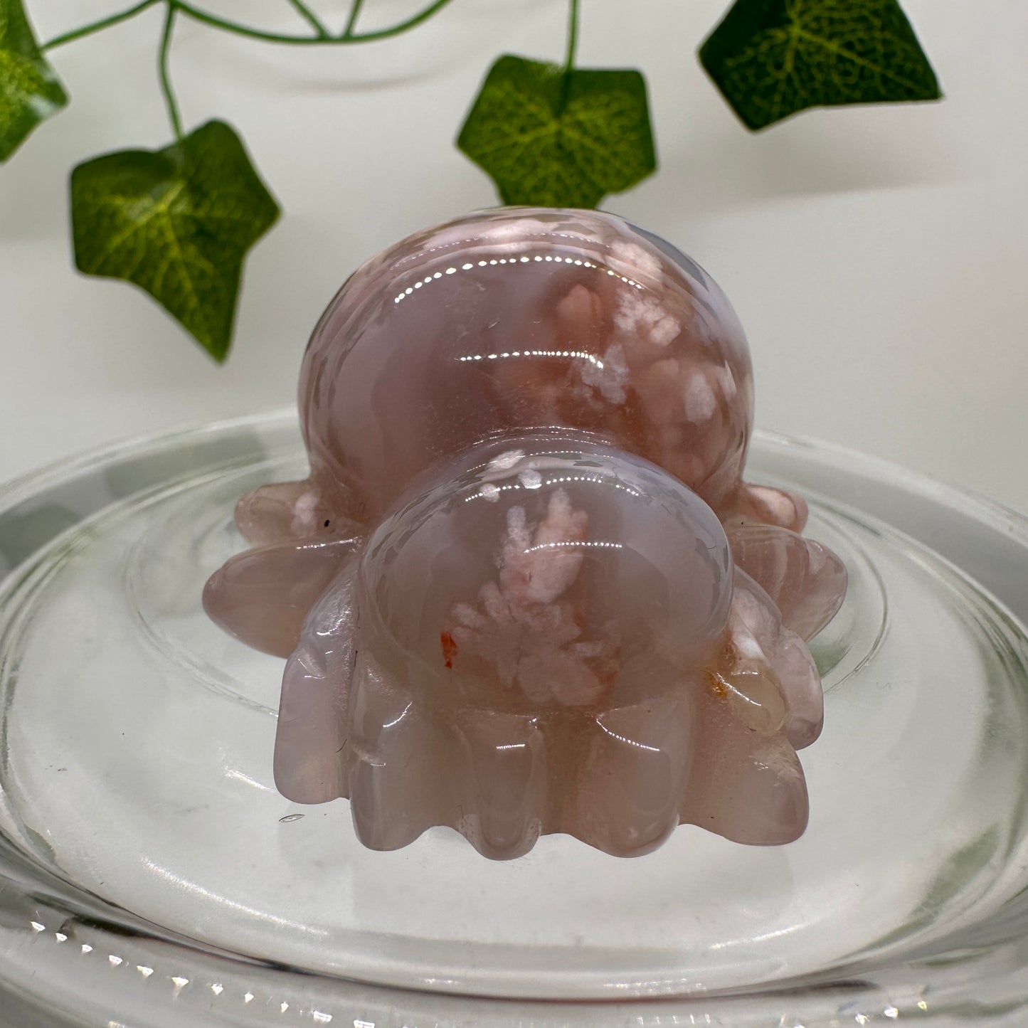 Flower Agate Spider - Katie's Mystic Crystals