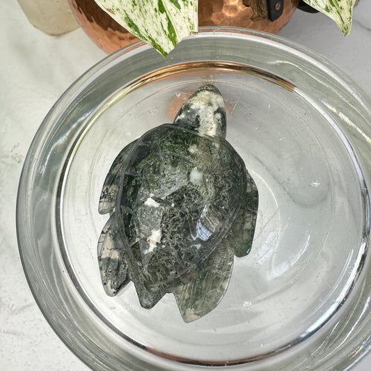 Moss Agate Sea Turtle
Grounding | Growth | Gentle Strength