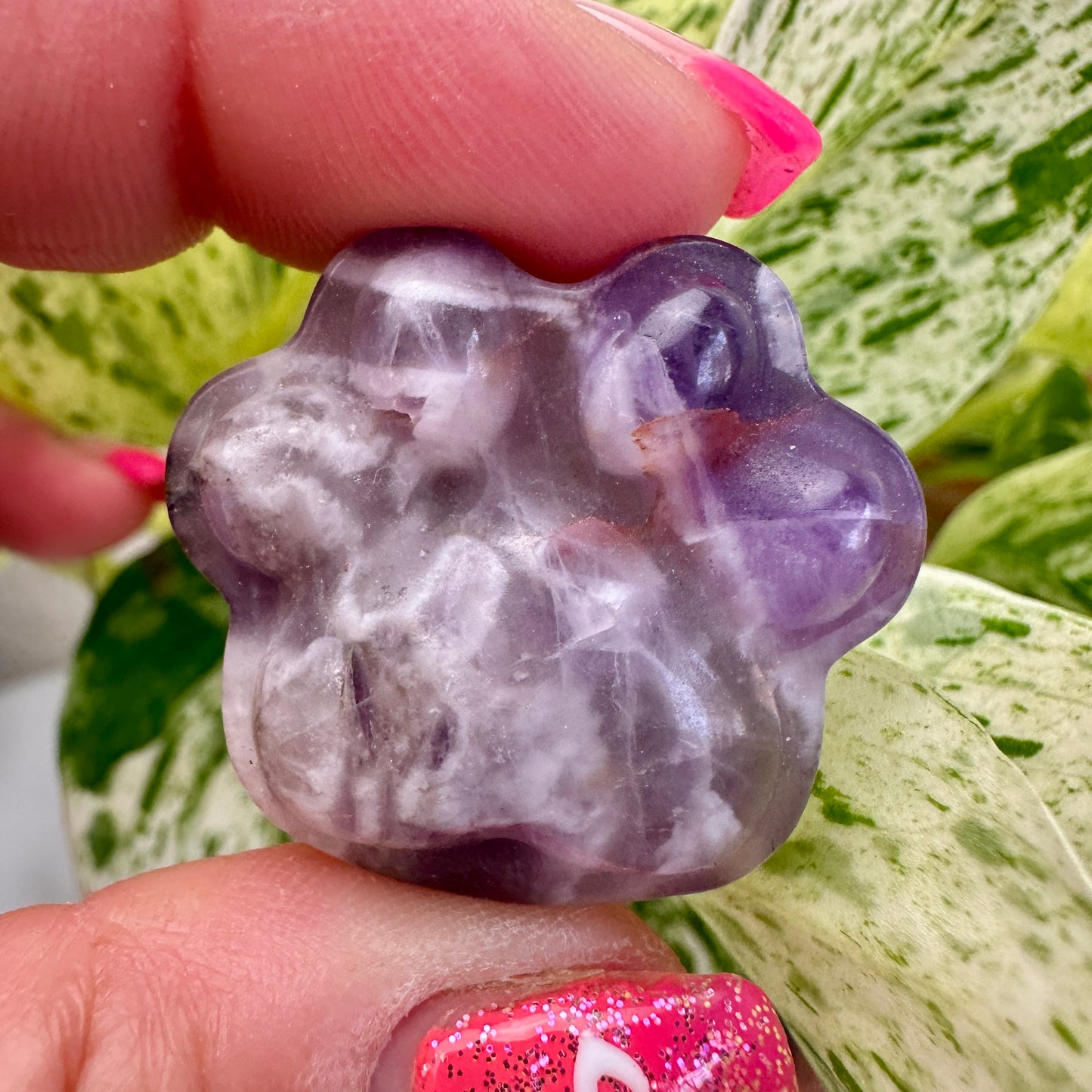 Crystal Pet Paw