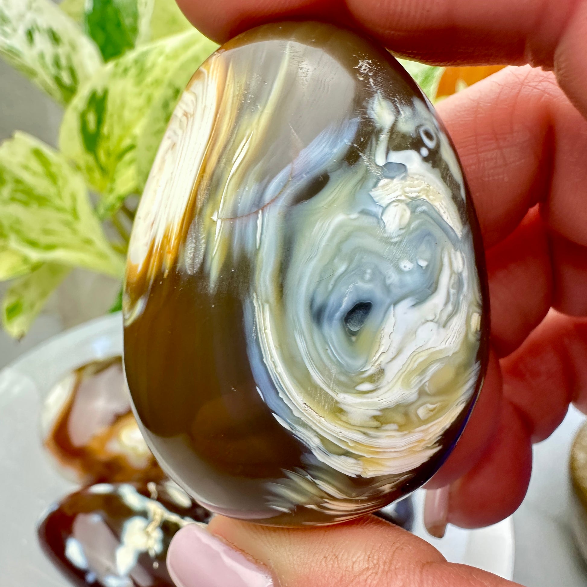 Carnelian Orca Agate Palm Stone - Katie's Mystic Crystals