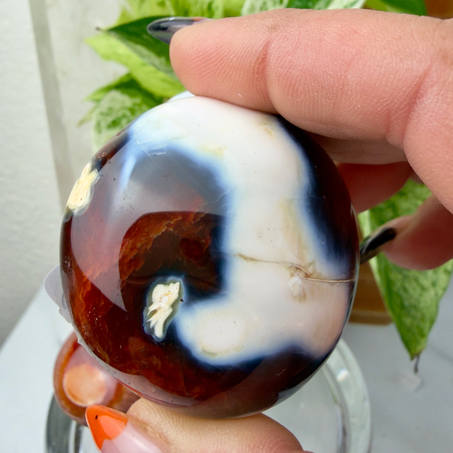 Carnelian Agate Palm Stones – Grounding Energy & Creative Fire (1.8–2”)