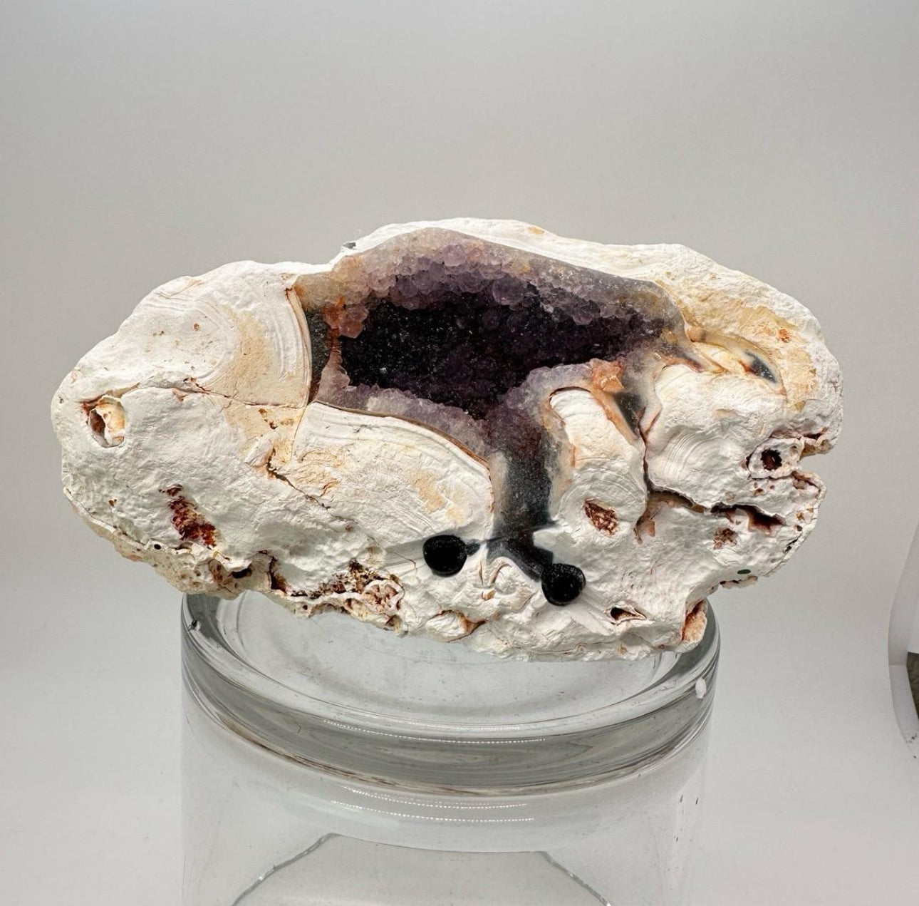 Crystal Critters LARGE