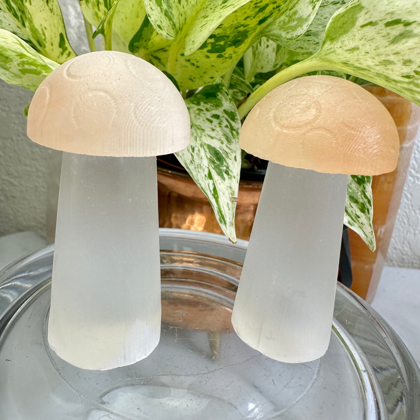 Selenite Mushrooms 3.5in