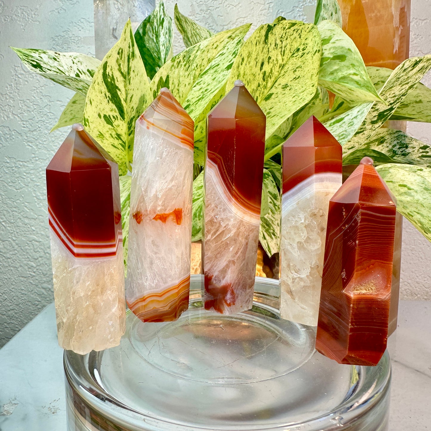 Carnelian Agate Points
Vitality | Creativity | Confidence