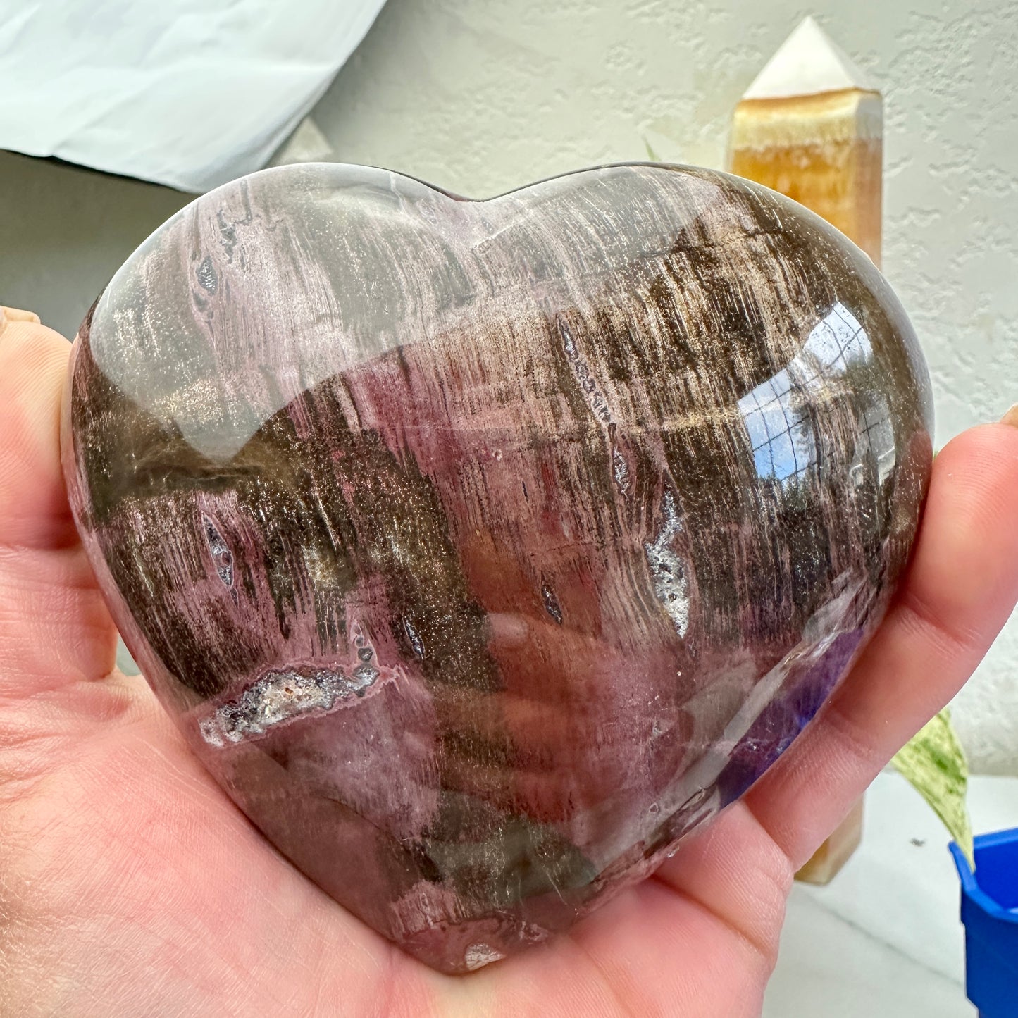 Petrified Wood Heart 1lb 2.7oz