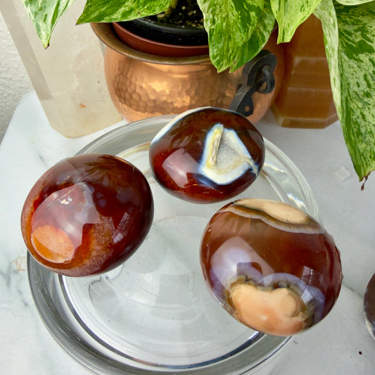 Carnelian Agate Palm Stones – Grounding Energy & Creative Fire (1.8–2”)