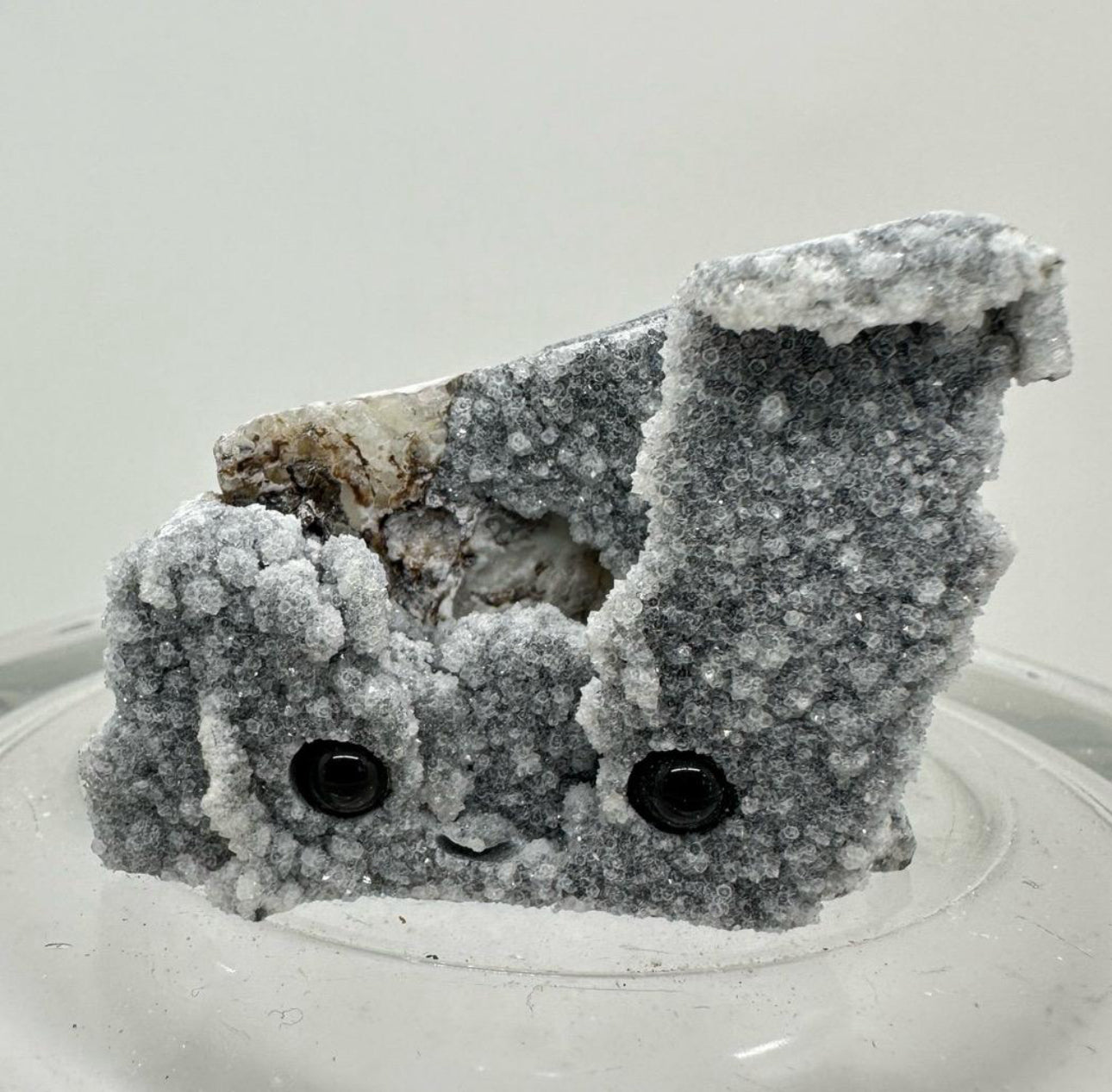 Crystal Critters - Specimen