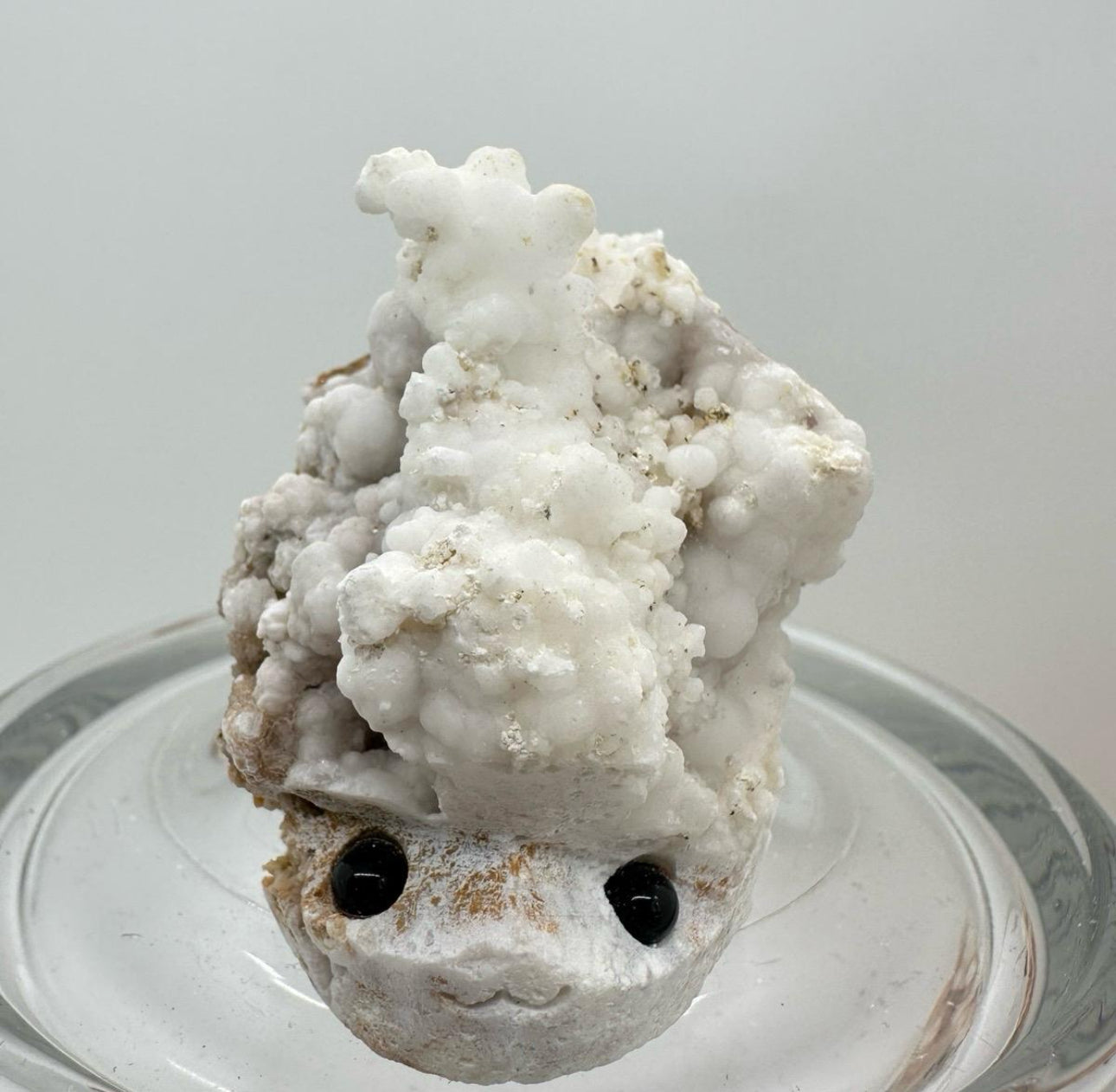 Crystal Critters - Specimen