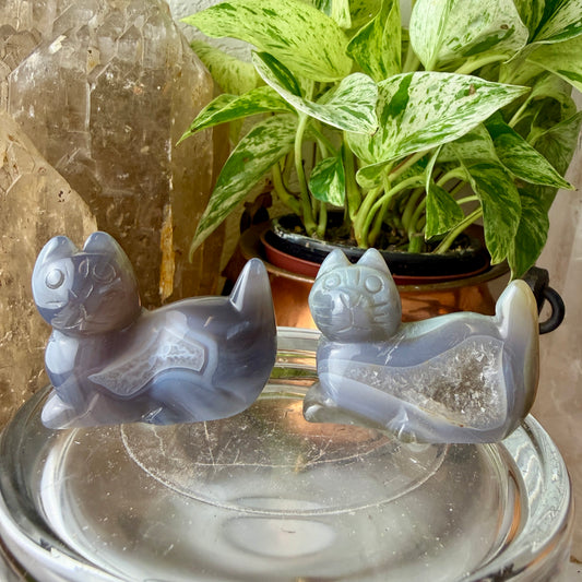 Agate Cat Crystal Carving | Blue Lace Agate Energy & Protection | Unique You-Pick Piece