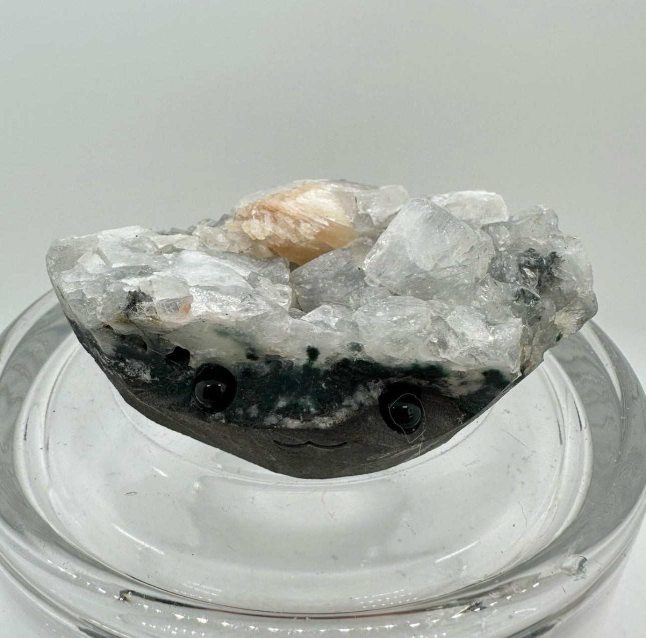 Crystal Critters - Specimen