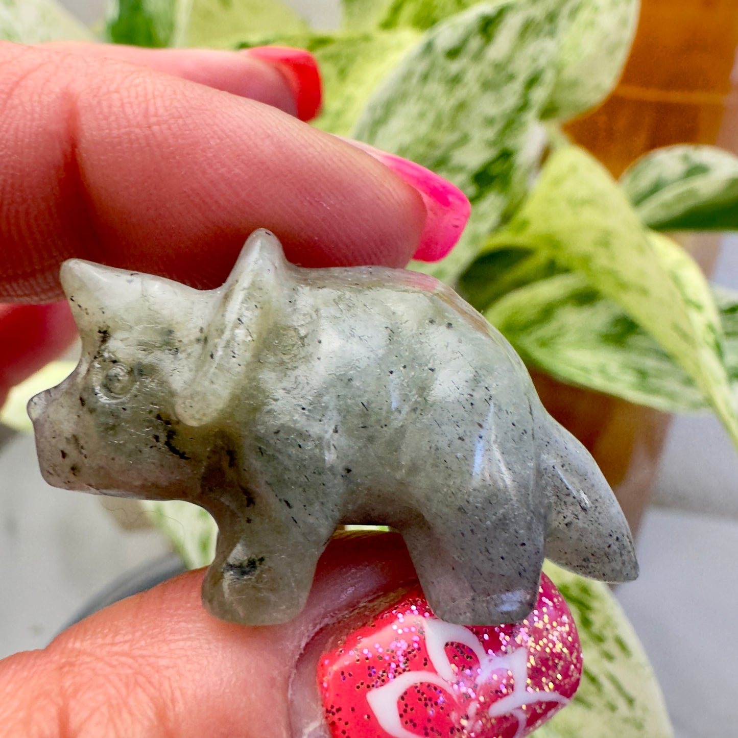 Mini Labradorite Triceratops