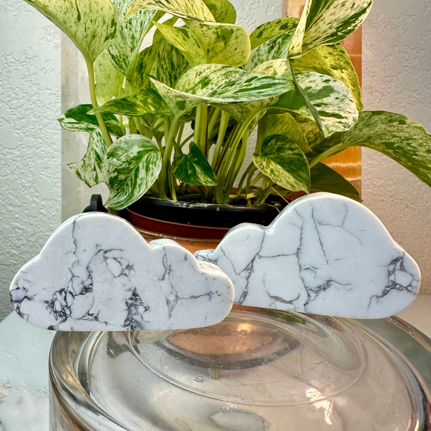 Soothing Howlite Clouds — 3 inch
Calm • Patience • Clarity