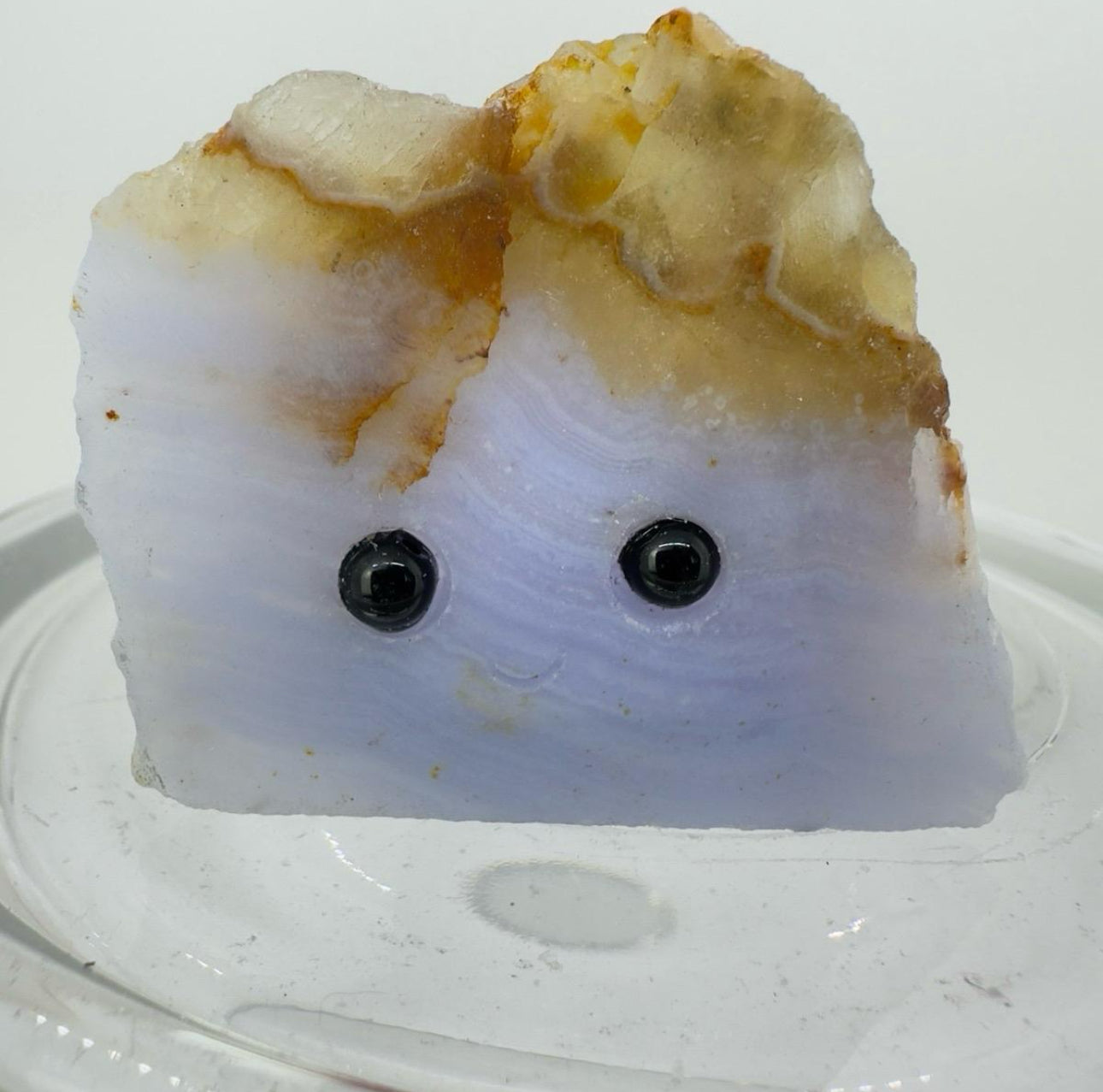 Crystal Critters - Specimen