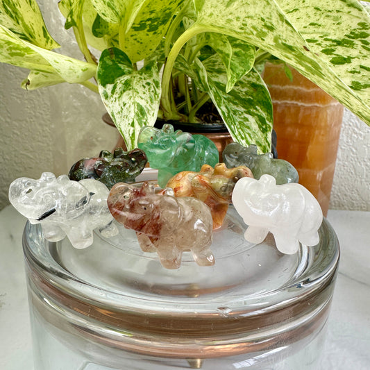 Crystal Elephants
