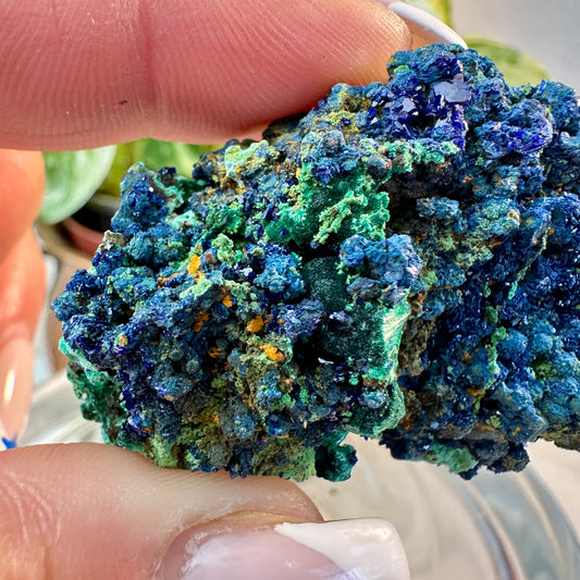 Azurite & Malachite Specimen — 36 grams | Morocco
Third Eye Activation | Transformation | Heart Healing