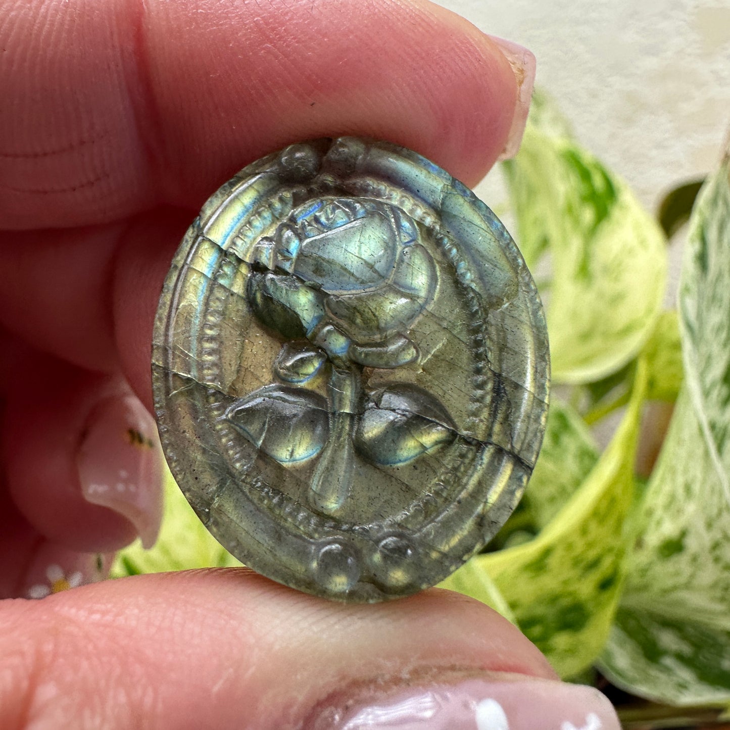 Labradorite Carvings - Katie's Mystic Crystals