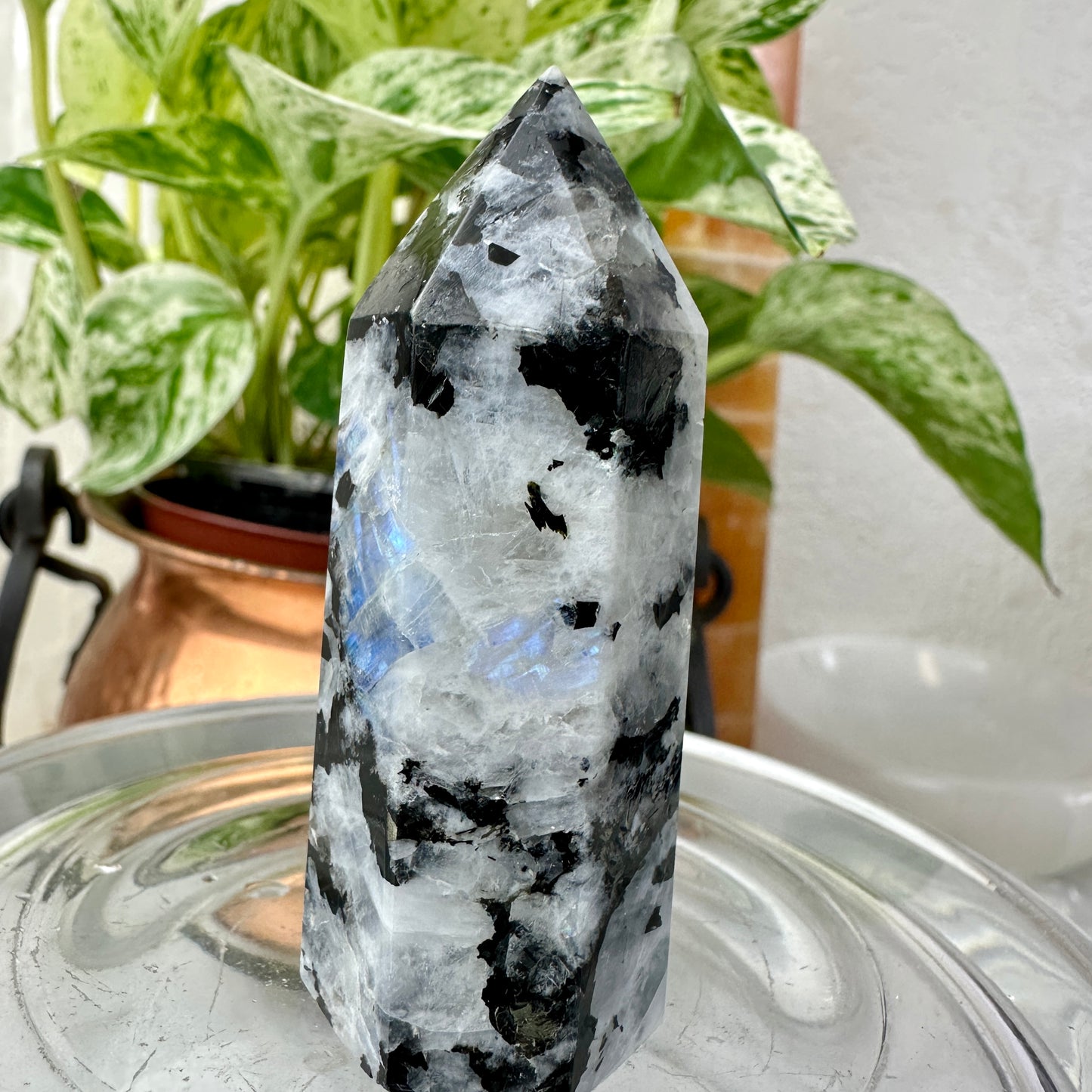 Rainbow Moonstone Points — 2.6–3.1 inches
Intuition | Protection | Emotional Balance