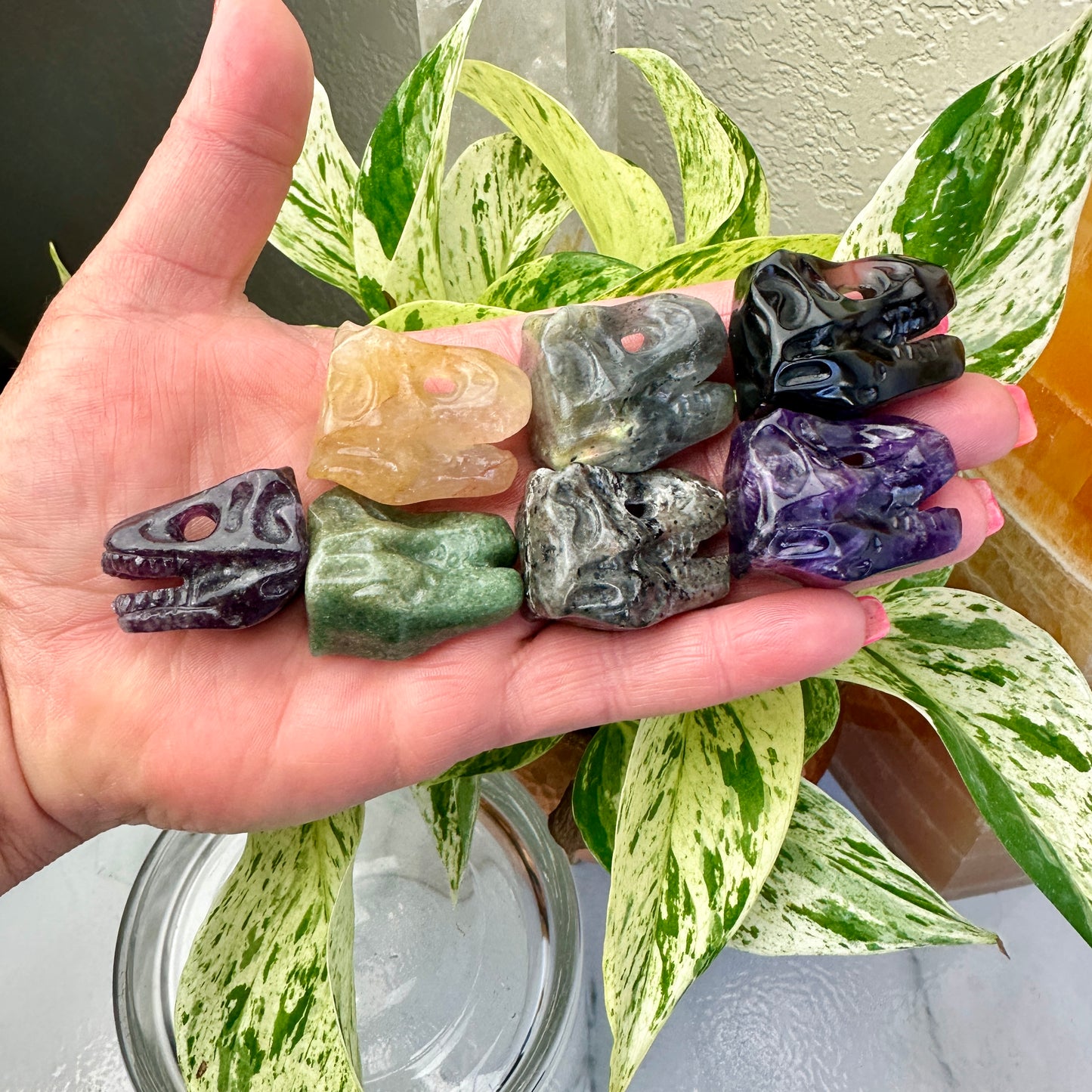 Crystal T-Rex Skulls