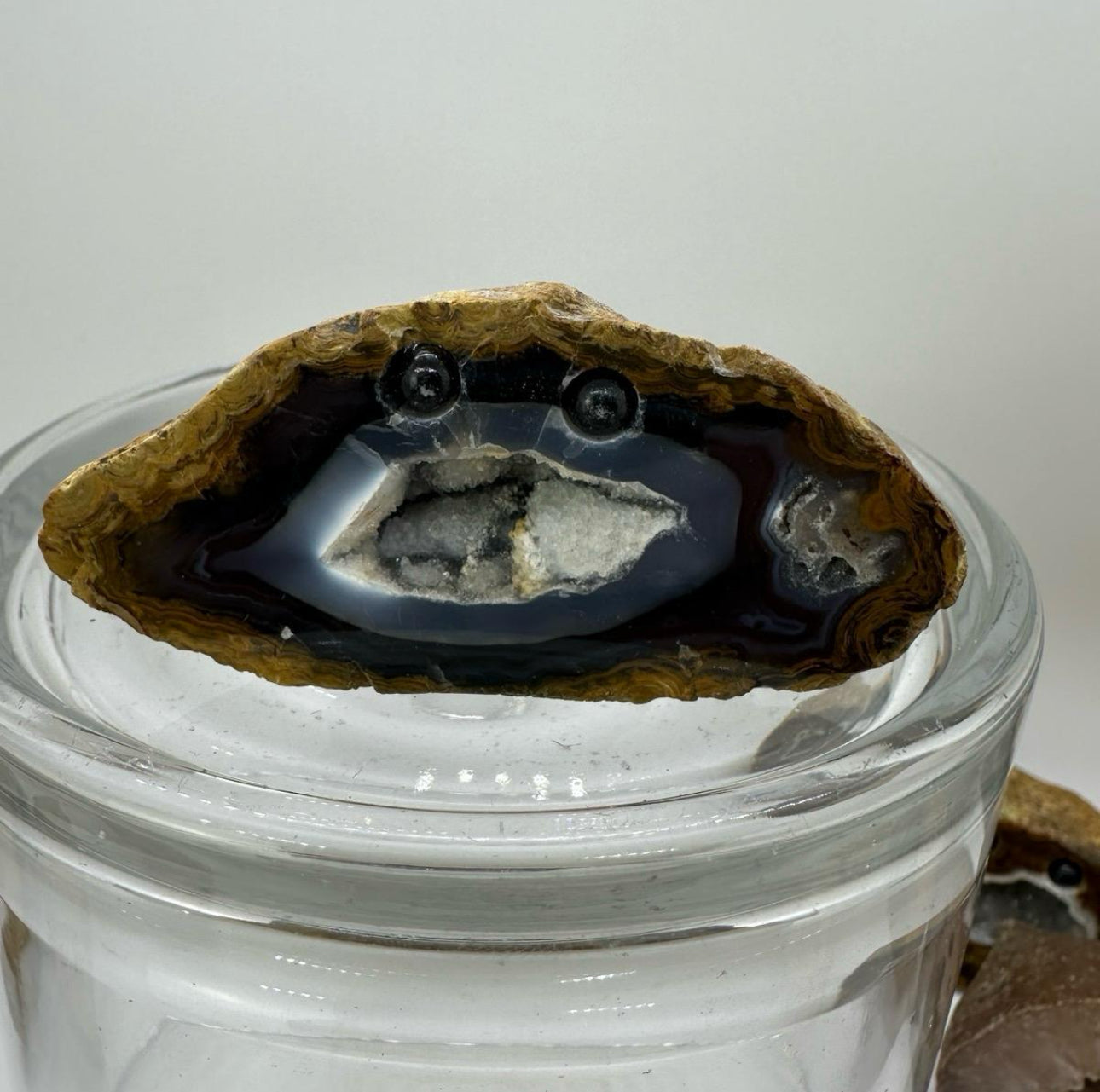 Crystal Critters- Geodes