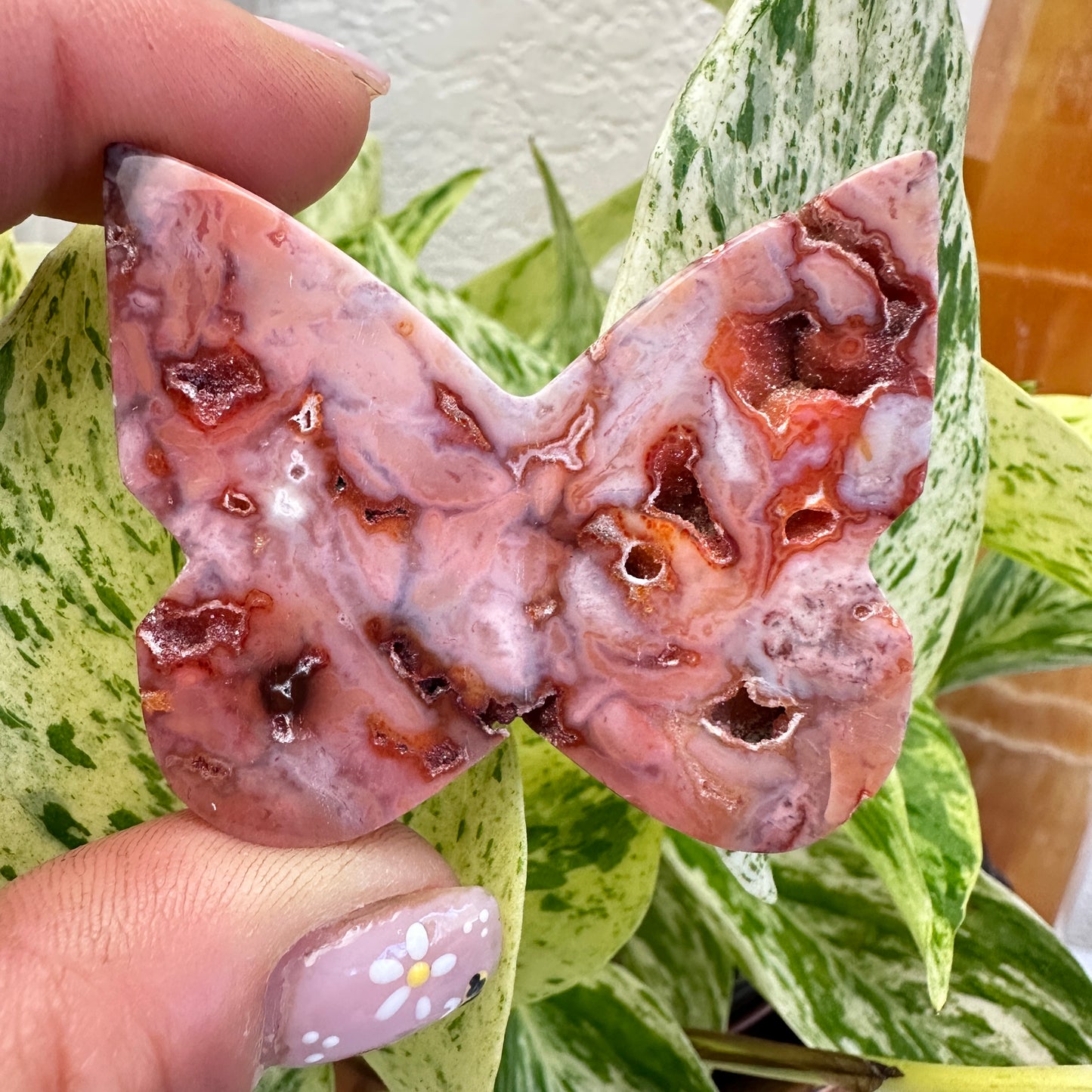 Druzy Carnelian Butterfly - 1.9 inch