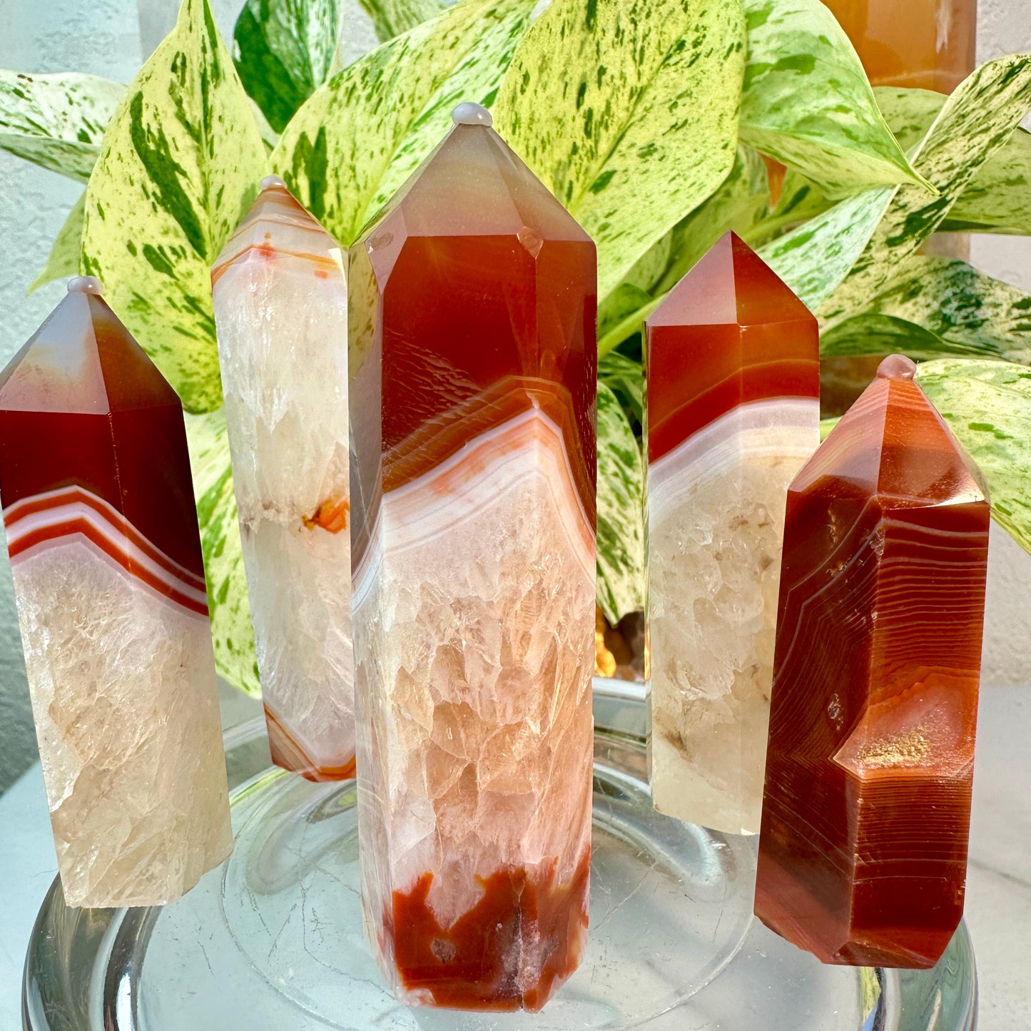 Carnelian Agate Points
Vitality | Creativity | Confidence