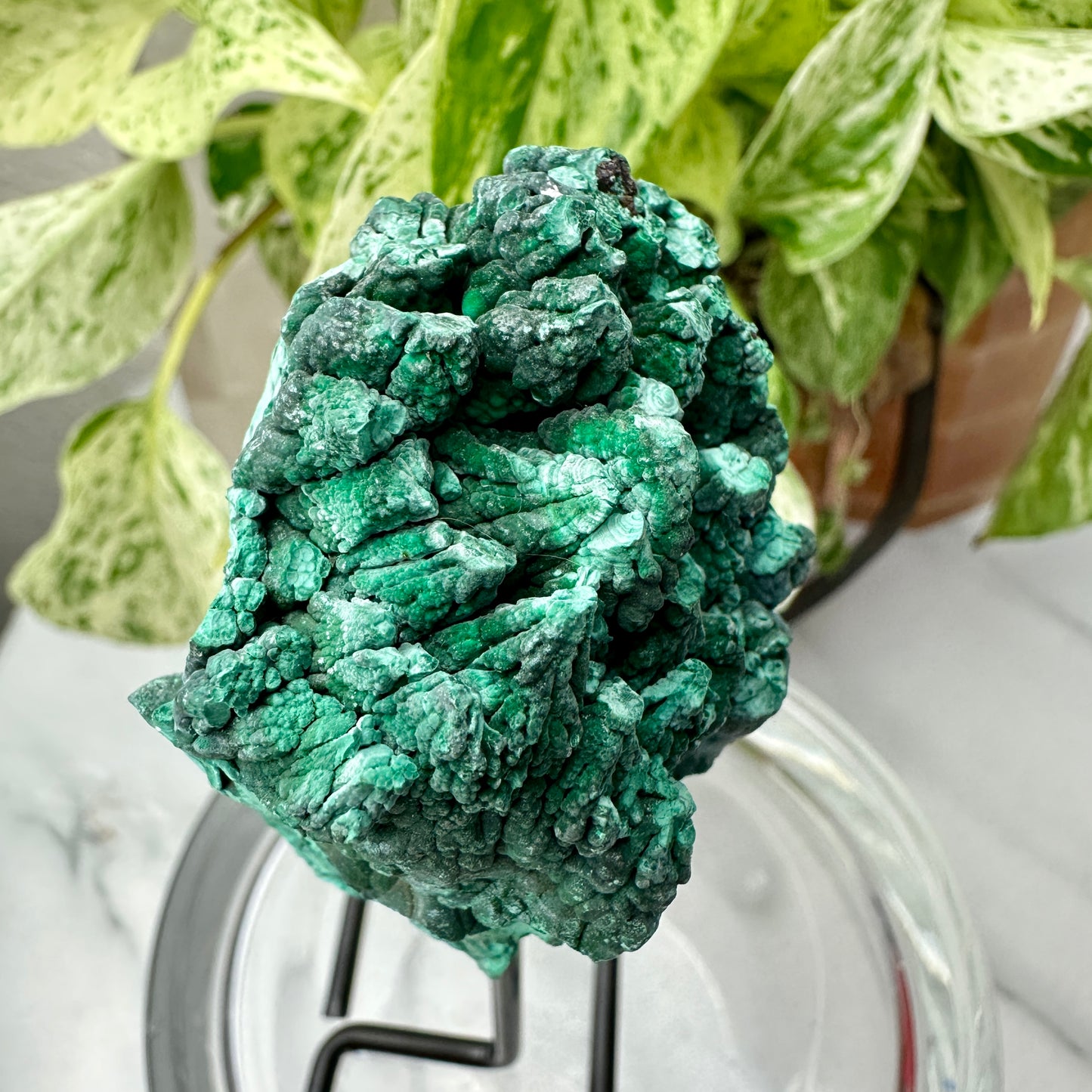 Botryoidal Malachite Specimen with Natural Cave — Mounted Display