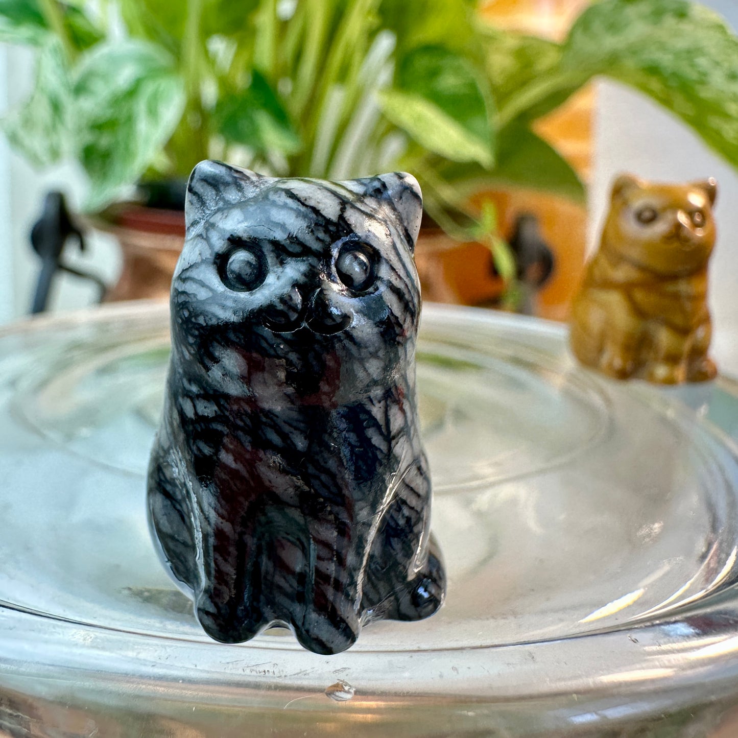 ✨ Mini Crystal Fluffy Cats — Carved in Yellow Jasper, Obsidian, Howlite, Red Vein Jasper, Spiderweb Jasper & Aura Rose Quartz ✨
Adorable Companions • Pocket-Sized Joy • Energy-Infused Decor