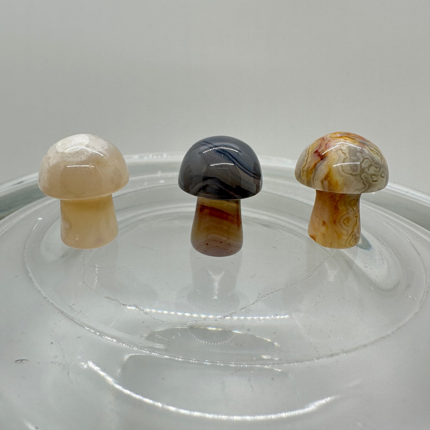 Mini Musbrooms - Crazy Lace - Agate - Flower Agate - Katie's Mystic Crystals