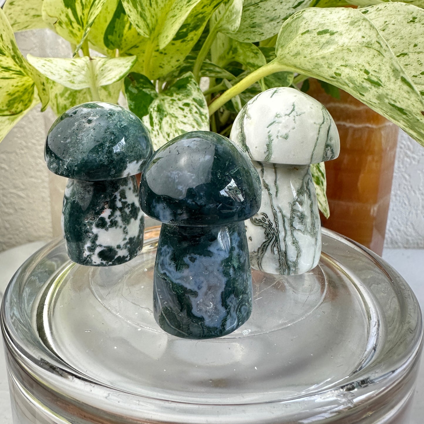 Moss Agate Mushrooms
Growth | Earth Energy | Emotional Balance