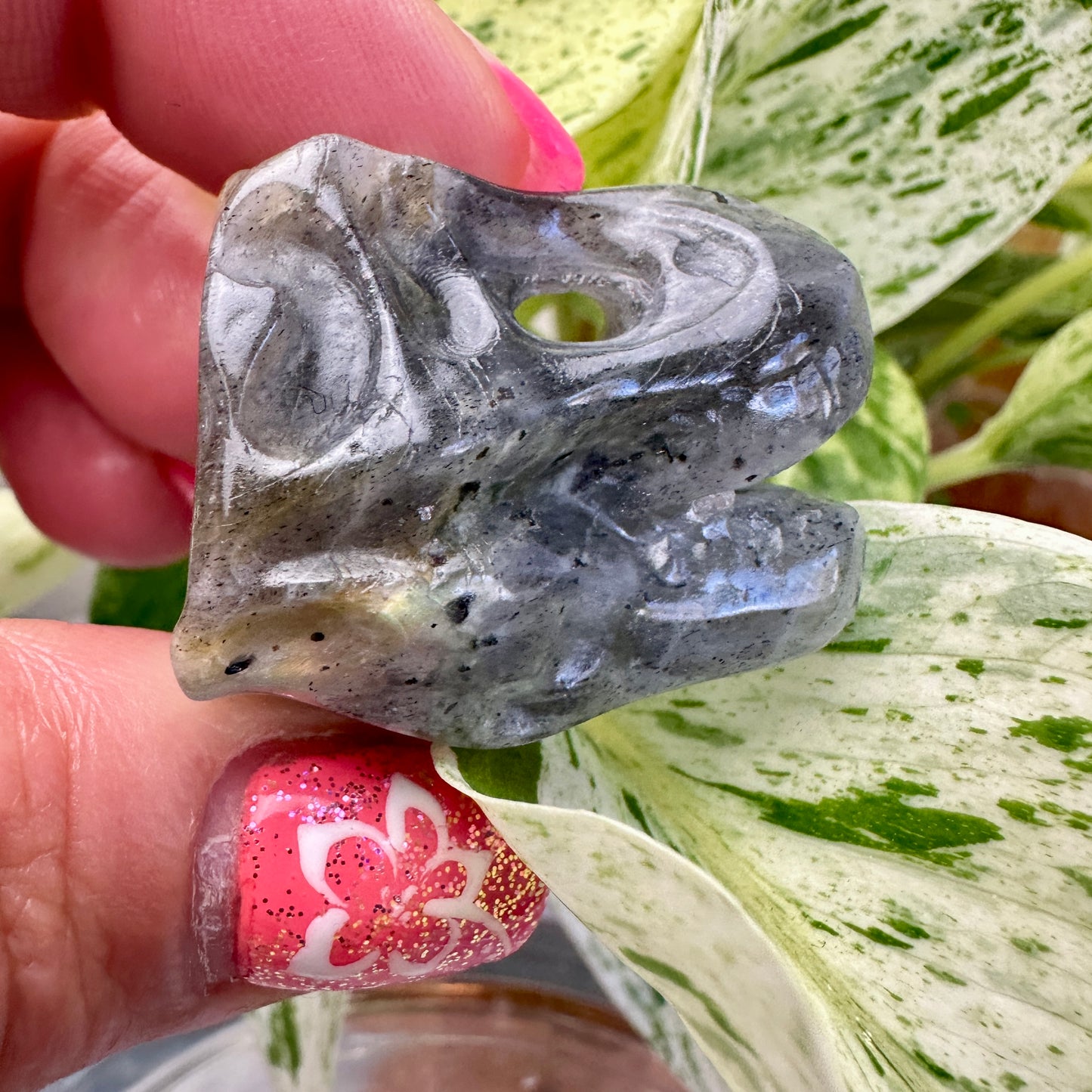 Crystal T-Rex Skulls