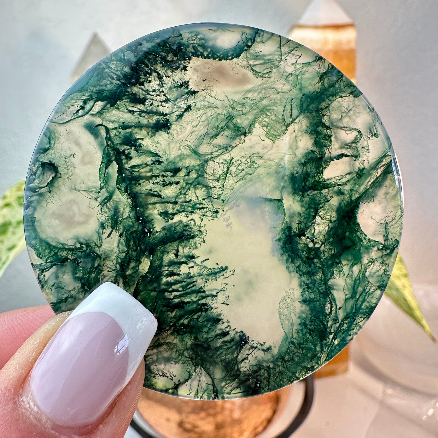 Moss Agate Window Disks — 2 Inch
Nature’s Portal • Grounding • Inner Vision