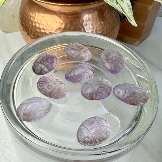 Imperfect Amethyst Lady Bugs