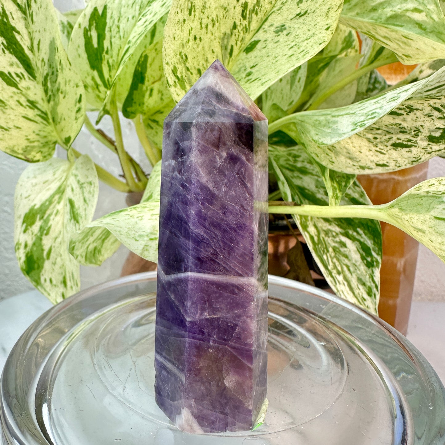 Set of 2 Amethyst Points — 3.1 & 3.9 inch
Spiritual Calm | Protection | Higher Awareness